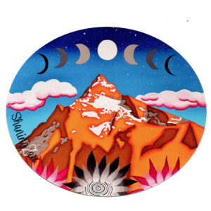 Elkhorn Dream sticker