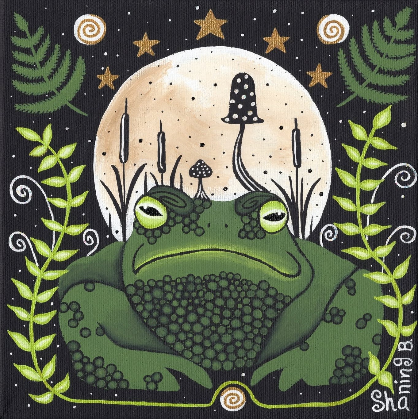 Midnight Toad
